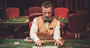 Как войти на сайт Pelican Casino